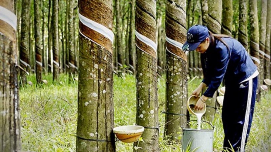 11-month rubber export revenue reaches US$2.51 billion